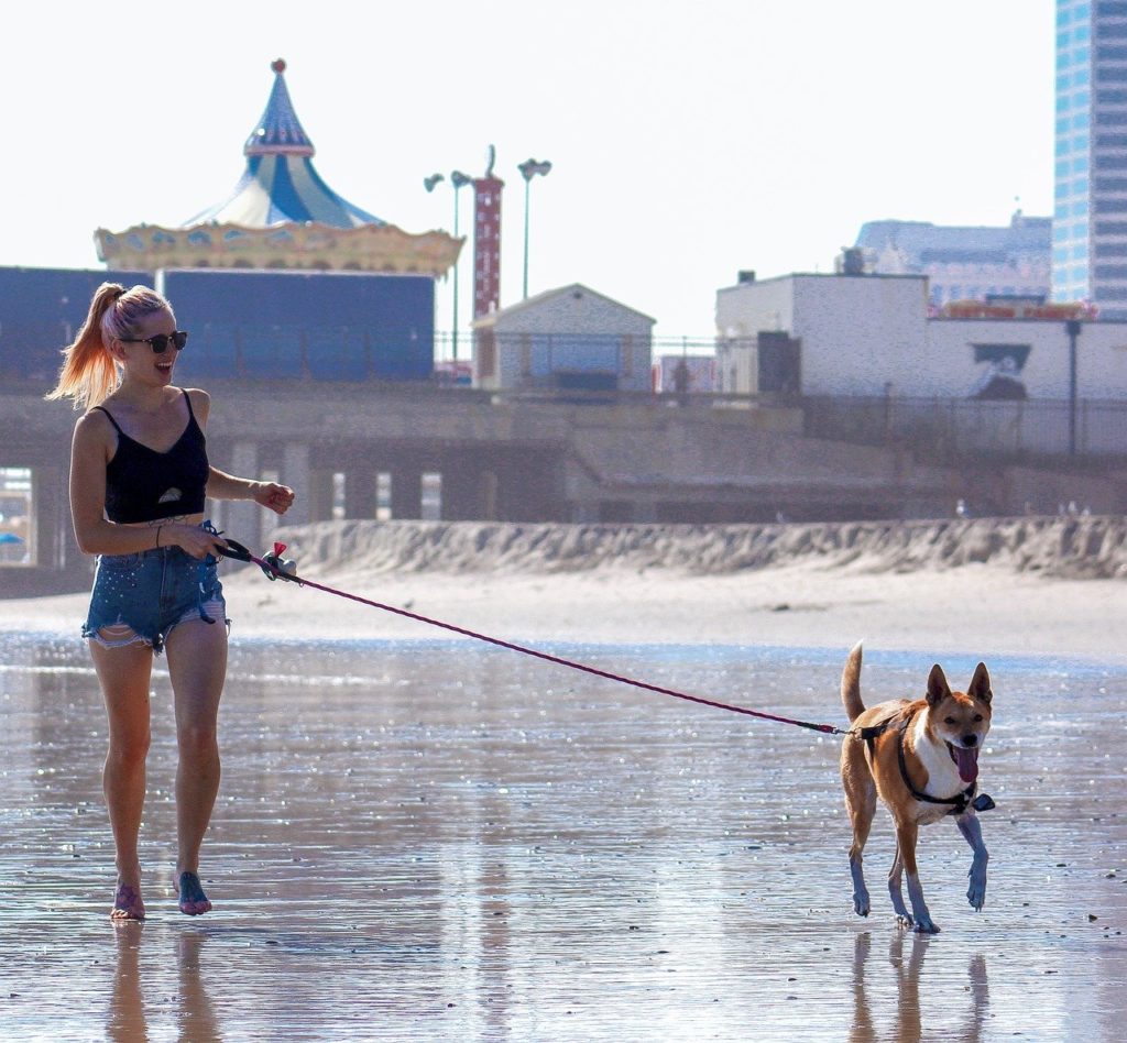 A woman walking a dog to represent professional dog walkers