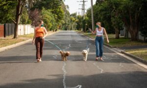 2 dog walkers walking their dogs socially distanced