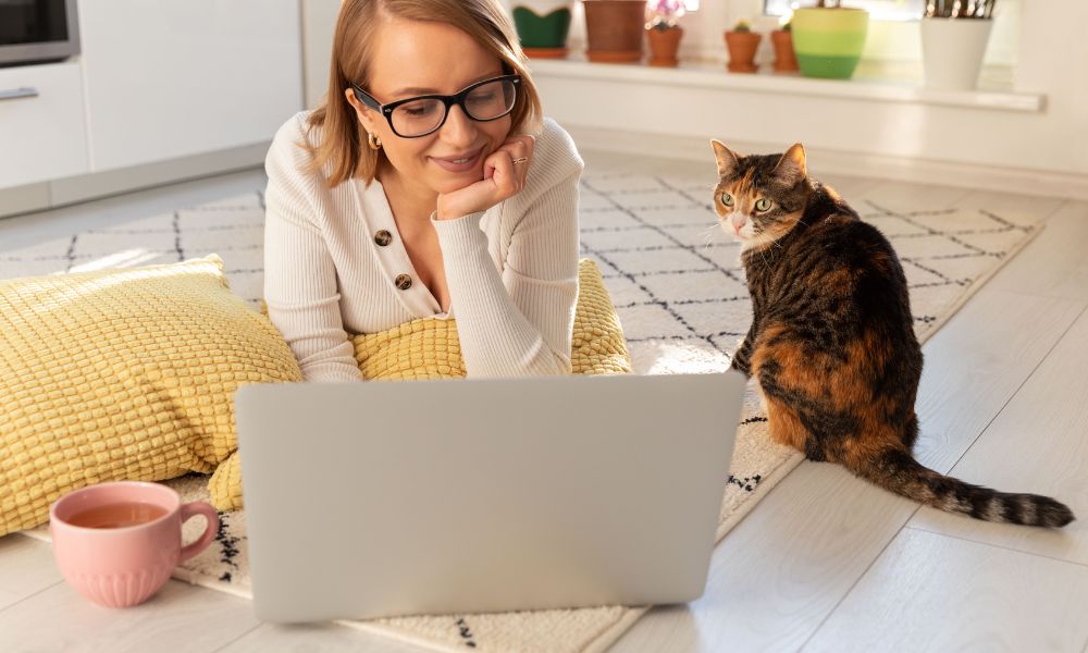 Pet sitter using her laptop to organise her business with a cat sitting next to her