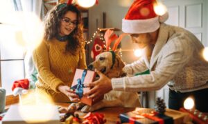 budget friendly homemade gifts for pets