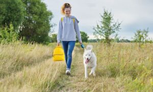 Dog walking bag
