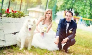 Bride and groom with their white medium sized dog