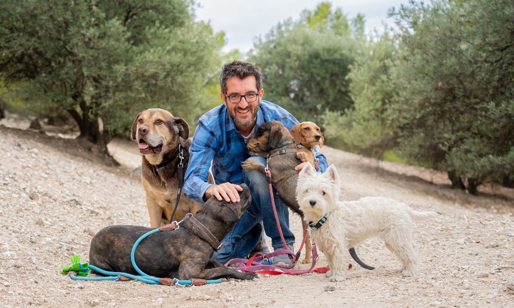 A male dog walker smiling at the camera and petting the dogs in his care.