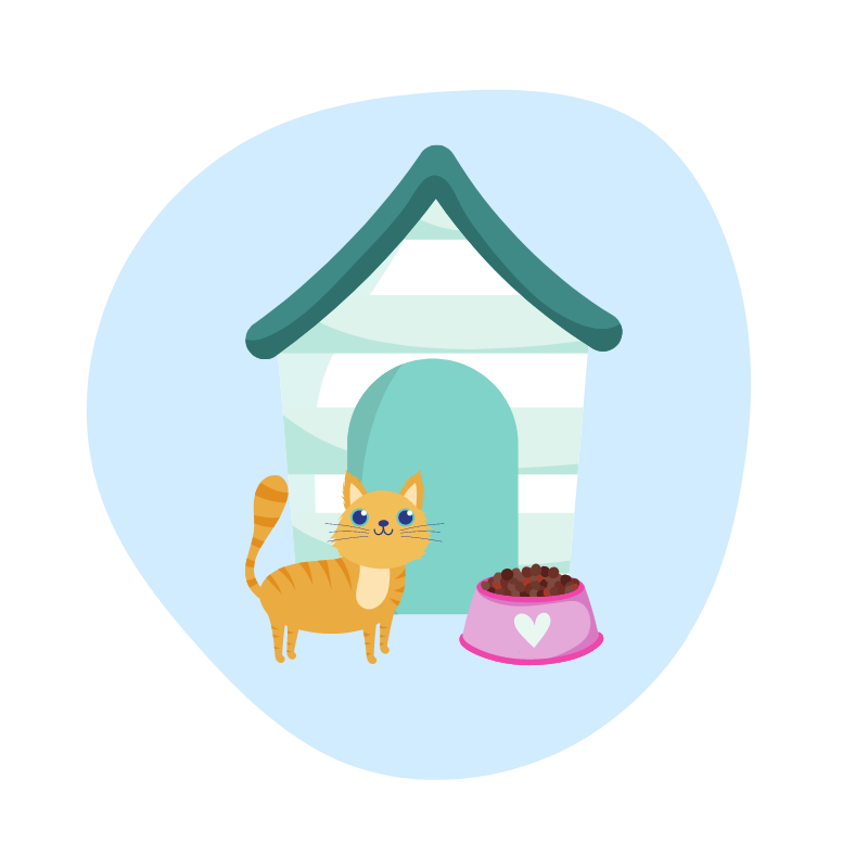 cat with a kennel and food