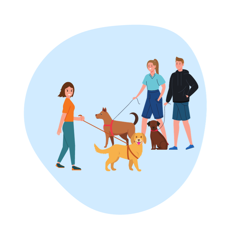 3 dog walkers walking their dogs