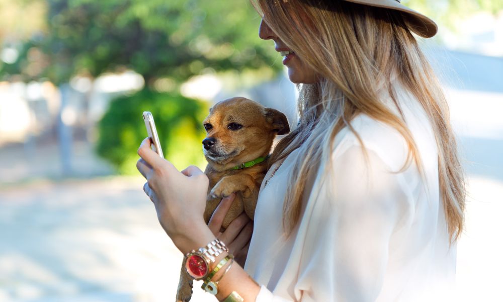 A lady pet owner holding a dog, using her mobile phone to contact their pet sitter.