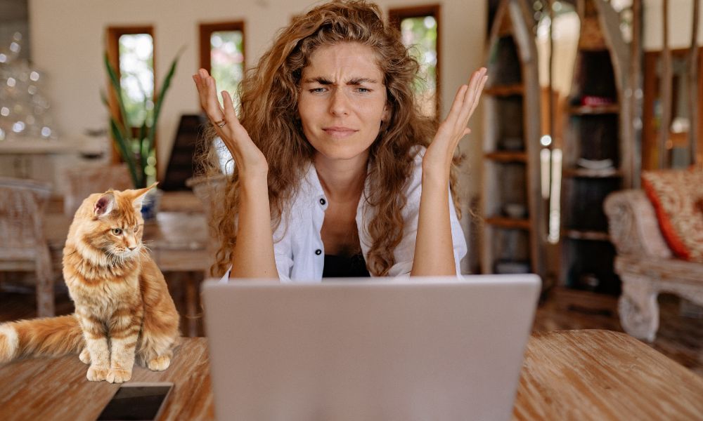 Frustrated cat owner with laptop and her hands are in the air as she can't use the pet sitting website she's trying to access.