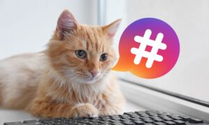 Ginger cat using a keyword with a speech bubble showing a hashtag sign