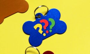 A blue dog tag on a yellow background with yellow, red and green question marks instead of the dog's name.